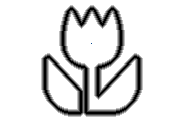 Grundstück